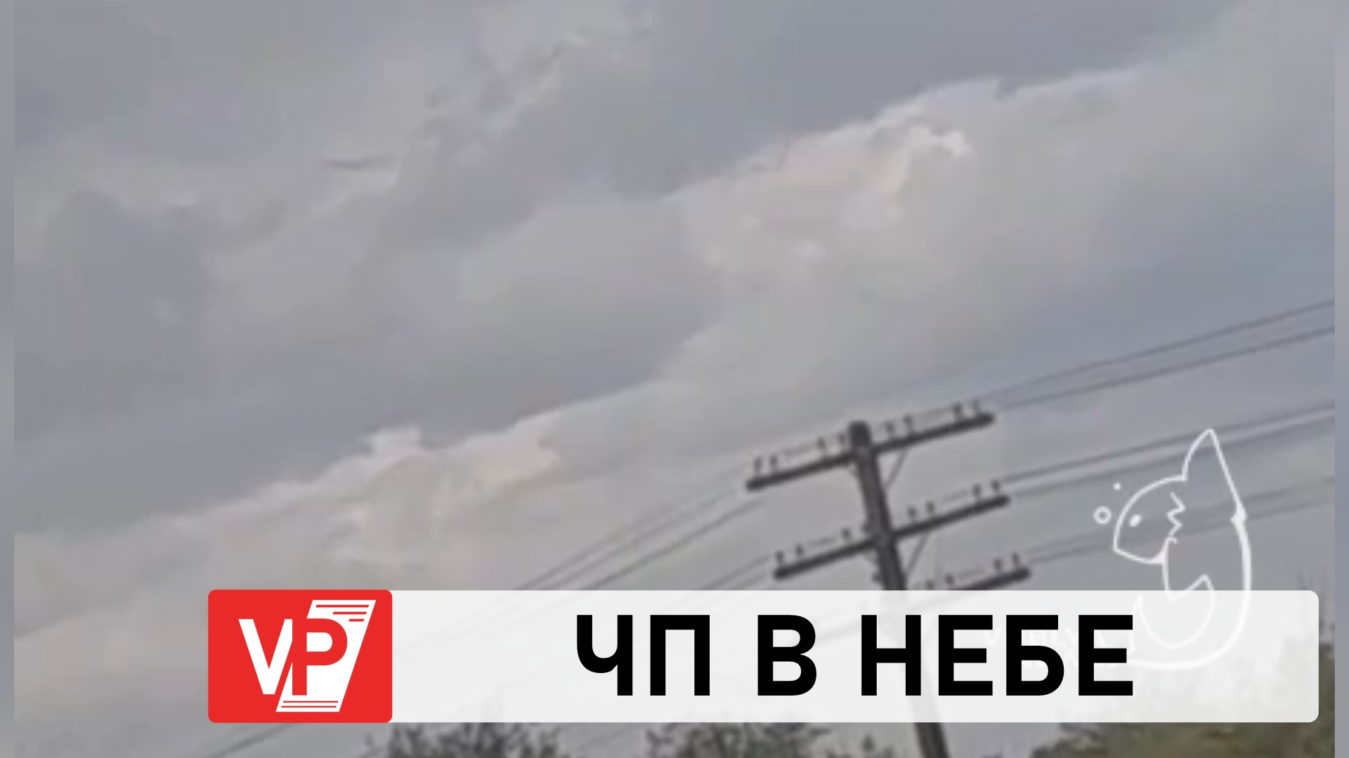 ПОД ВОЛГОГРАДОМ МОМЕНТ ПАДЕНИЯ САМОЛЕТА  ЗАФИКСИРОВАЛИ  НА ВИДЕО