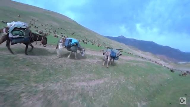 Таджикистан - жизнь в горах (Эксклюзив)
