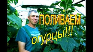 ПОЛИВ//КАК ПОЛИВАТЬ ОГУРЦЫ В ТЕПЛИЦЕ//МОЯ ЛЮБИМАЯ УСАДЬБА