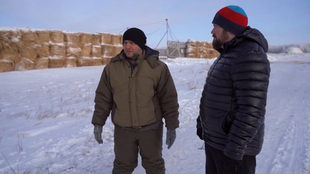 Открытое содержание Ангусов в Казахстане: корма, защита от ветра и выгодная реализация КРС смотреть онлайн