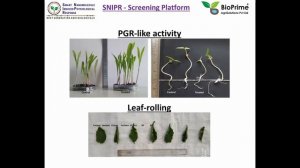 Introduction to BioPrime