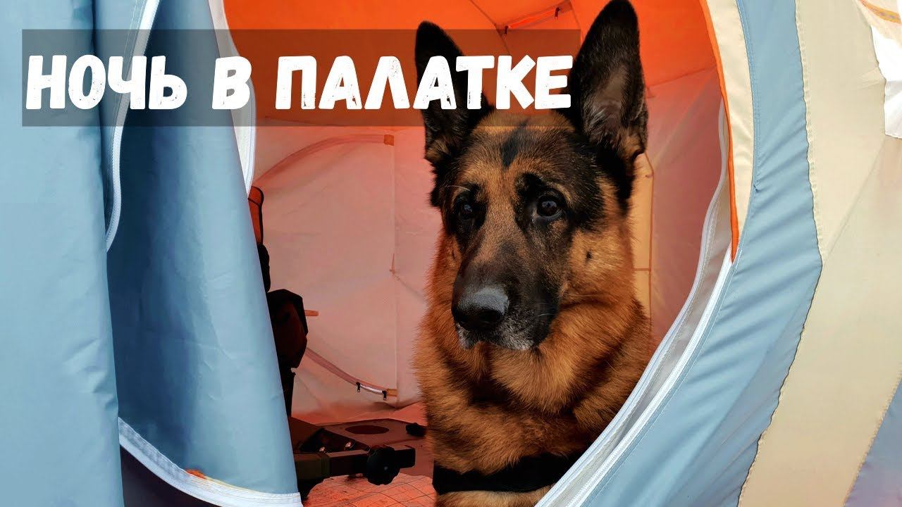НОЧЬ В ПАЛАТКЕ! Зимняя рыбалка с подводной камерой Calypso #85
