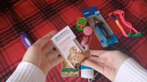 Что нужно для появления котёнка в доме🐱//Это важно ❤️