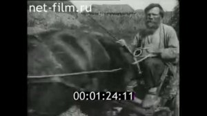 Гарман Каменный каток для обмолота зерна