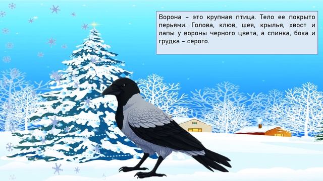 Зимующие птицы.  Зима