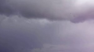 Лопасти гриль