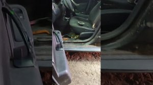 Рено Дастер разборка обшивки