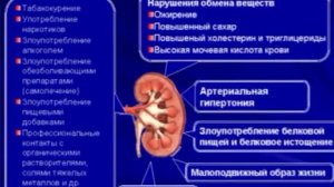 "Хроническая болезнь почек: можно ли остановить прогрессирование?"