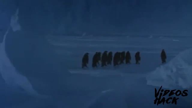 Приколы и неудачи. Выпуск #1 \ Fun and Failure. Issue #1 смотреть онлайн