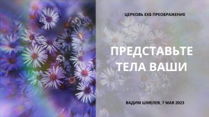 Представьте тела ваши. Вадим Шмелев, 7 мая 2023