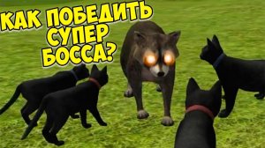 Симулятор КОТА и КОШКИКотик против енотаcat sim (кат сим)