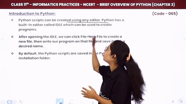 Class 11 Informatics Practices Chapter 3 | Working With Python - Brief Overview of Python (Code 065