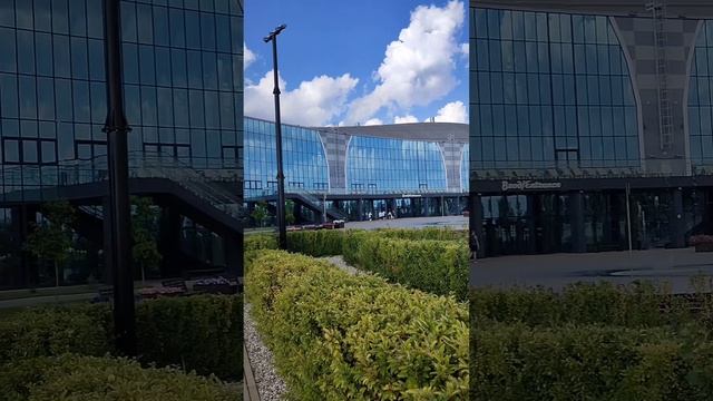 VID_75050225_012721_440.mp4 смотреть онлайн