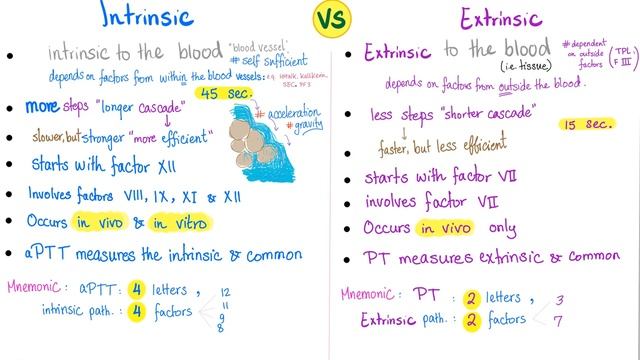 Coagulation Tests (PT, aPTT, TT, Fibrinogen, Mixing Studies,..etc) смотреть онлайн
