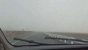 День поездки на Яровом
