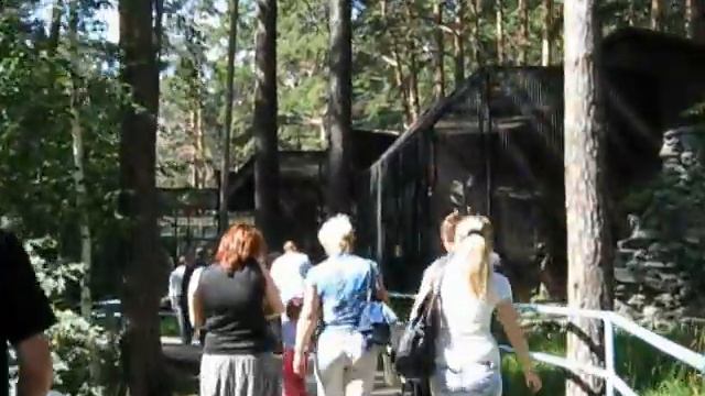 Novosibirsk Zoo.Новосибирский зоопарк. смотреть онлайн