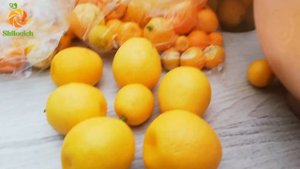Урожай кумкватов Маргарита, Мейва, Фукуши и каламондина