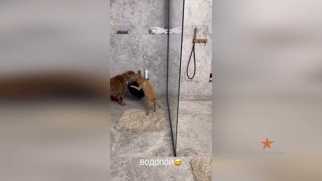 Как началось утро Ольги Орловой!
