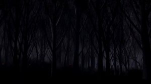 САМЫЕ СТРАШНЫЕ ЗВУКИ В МИРЕ (часть 2)