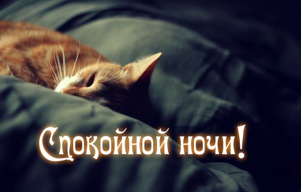 Самое Красивое Пожелание Спокойной Ночи Сладких Снов! Доброй Ночи