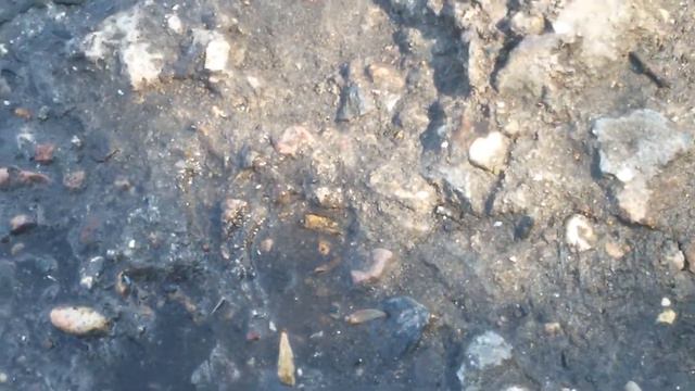 Рыбалка на самодельную донку на окуня летом.Как сделать донку для рыбалки.Рыбалка на окуня летом смотреть онлайн