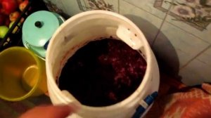 Как бродит МЕЗГА из ЧЁРНОГО ВИНОГРАДА