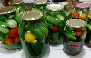 Самые правильные маринованные огурцы.