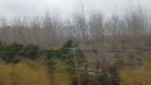 Поездка на скоростном поезде на магнитной подушке Maglev. Шанхай. 31.12.2018