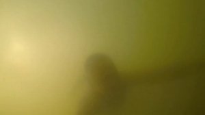 Должанская коса. Бюджетный отдых.