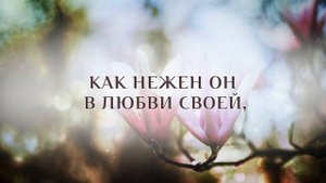 Господь нас всех к Себе влечёт – КАРАОКЕ