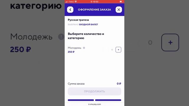 Пошаговая инструкция приобретения билета по "Пушкинской карте"