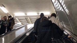 Метро Московская Питер выход к остановке в Аэропорт Пулково 12 октября