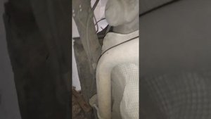 Ford mondeo 4-замена сайлентблоков задней балки.
