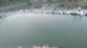 Собственный ПРУД!!! Часть 3. Что с ним произошло за последние годы!!!