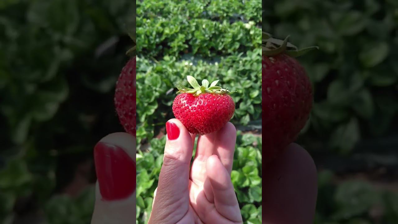 Вкусняшка