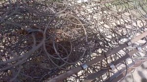 разрезали старый матрас *21 кг железа*