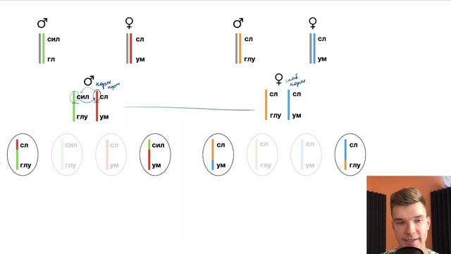 2.76. Биологический смысл кроссинговера | Цитология к ЕГЭ | Георгий Мишуровский смотреть онлайн