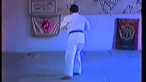 9 2 Ката  Кайшикен шодан. 4 кю. Зеленый пояс. ОК и ШКД.
