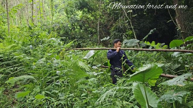 I made Money from drywood trees |mountain life| Ly Thi Ca | building life (Ep.73) смотреть онлайн