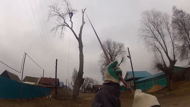 СТАЛЬНЫЕ ЯЙЦА !!!УДАЛЕНИЕ ДЕРЕВЬЕВ . ВЫСОКИЙ ТОПОЛЬ УБИРАЕМ ВЕРХНЮЮ ВЕТКУ смотреть онлайн