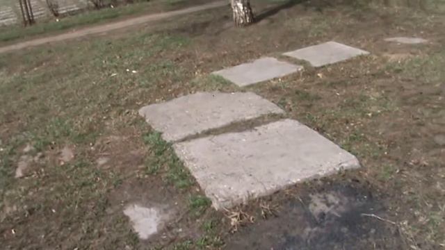 В гостях у тольяттинских голубеводов смотреть онлайн