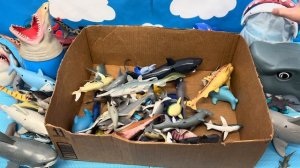 Shark Toys Collection for Kids