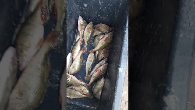 16 февраля 2024 г. смотреть онлайн