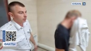Водителя и пассажиров BMW, катавшей голую девушку в Краснодаре и Сочи, привлекли к ответственности