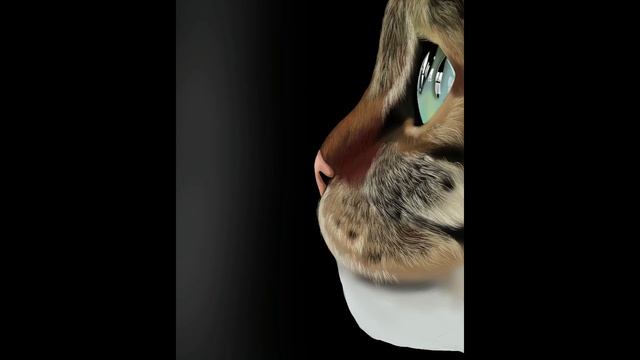 Painting cat ipad pro procreate time lapse (Рисунок кота на ipad в программе Procreate) смотреть онлайн