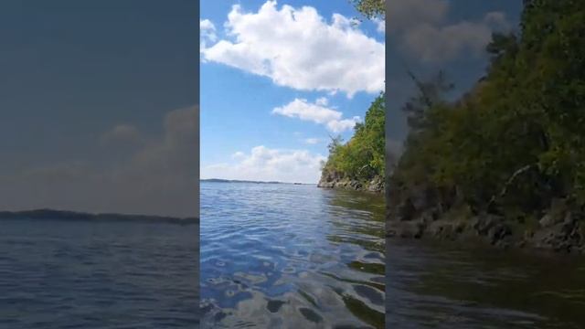 Конный поход август 2022 г. Осиновка-Винновка (авантюра ☝️) смотреть онлайн