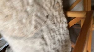 Каппадокия, Турция 2021г.