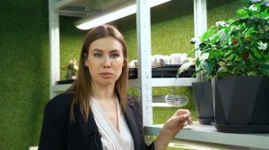 Ответы на самые популярные вопросы о досветке рассады | Когда нужно использовать фитолампы