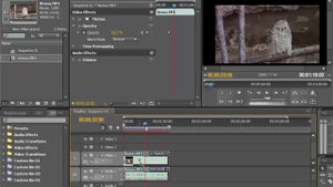 Эффект Прозрачности (Opasity) в Adobe Premiere Pro