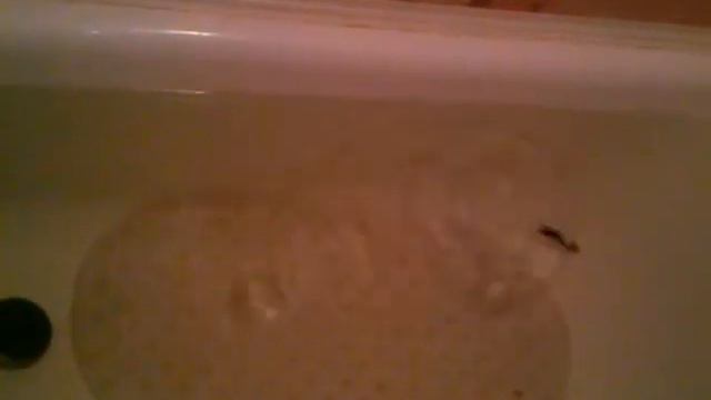 Подлёдный вертикальный джиг смотреть онлайн